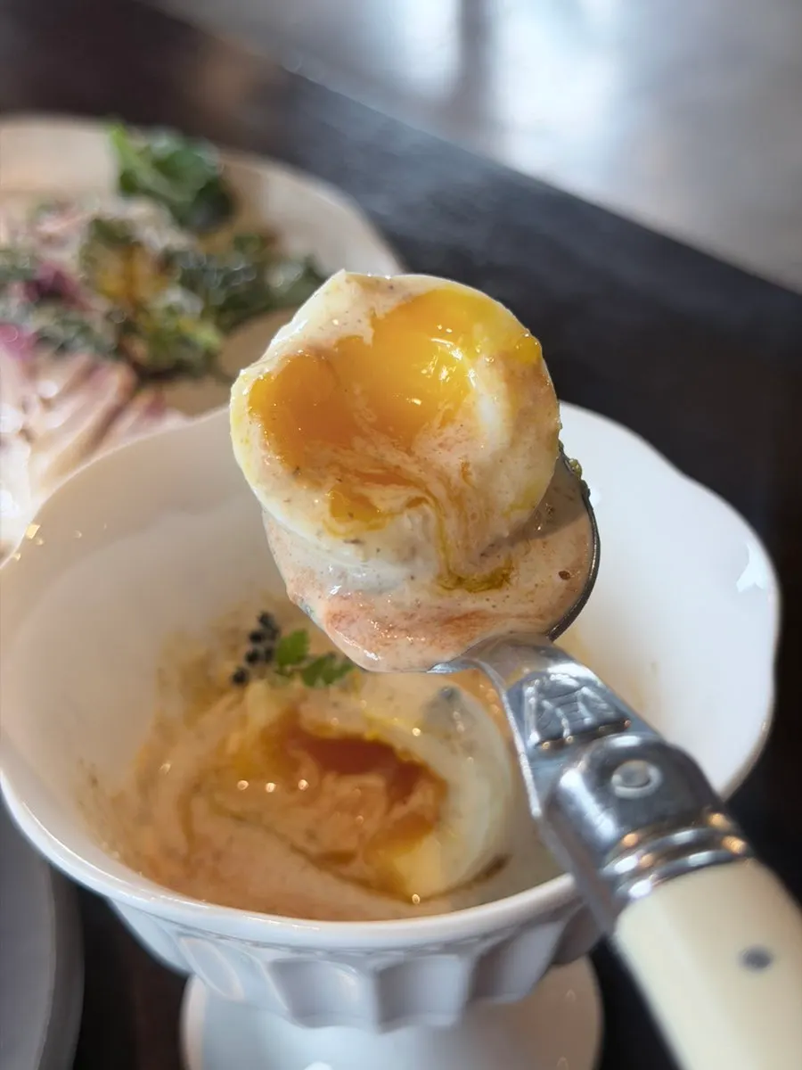 토마토소스가 깔린 계란 요리 클로즈업