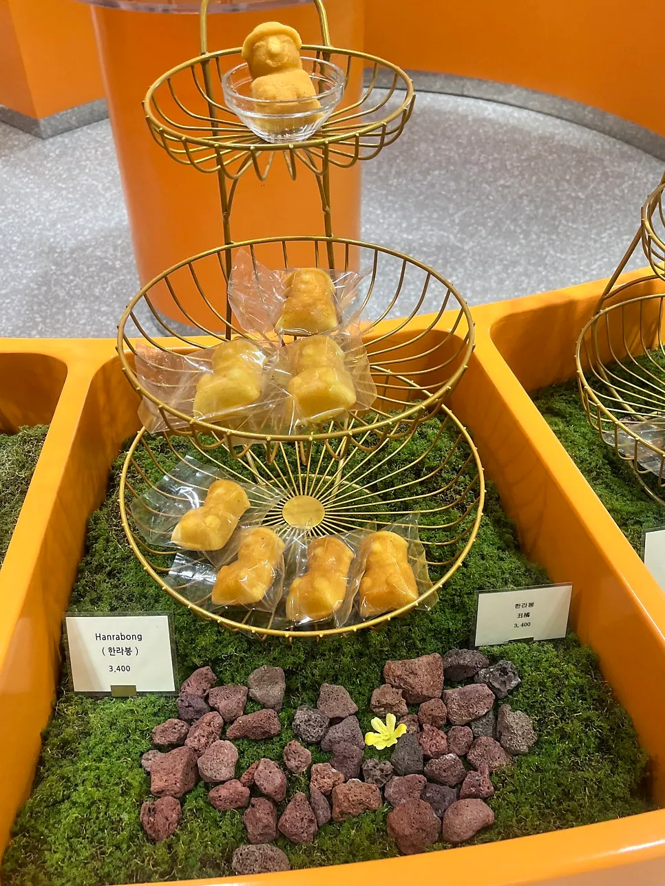 Hallabong-flavored dol hareubang madeleine