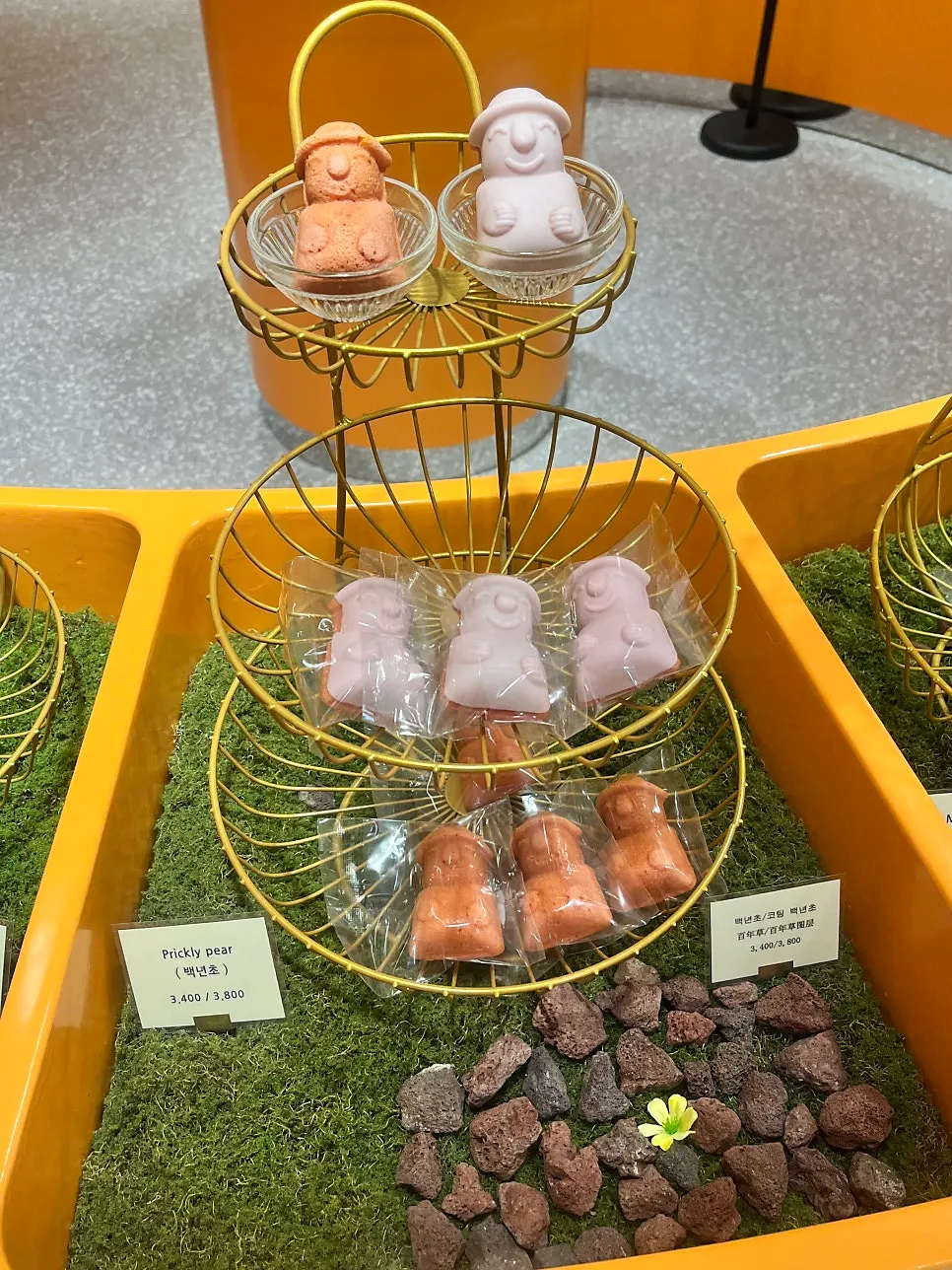 Prickly pear flavored dol hareubang madeleine