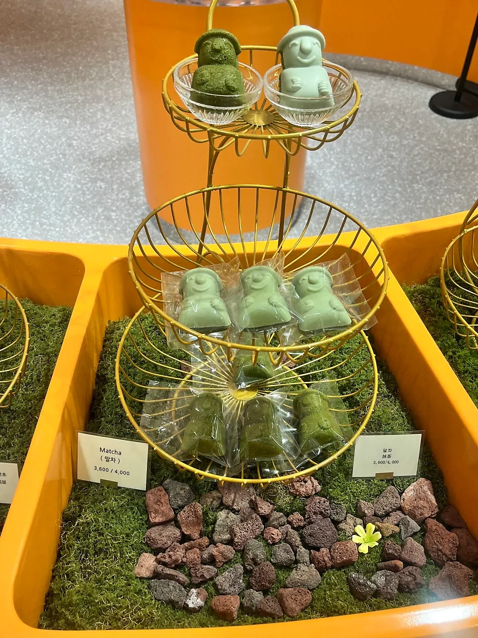 Matcha dol hareubang madeleines on display