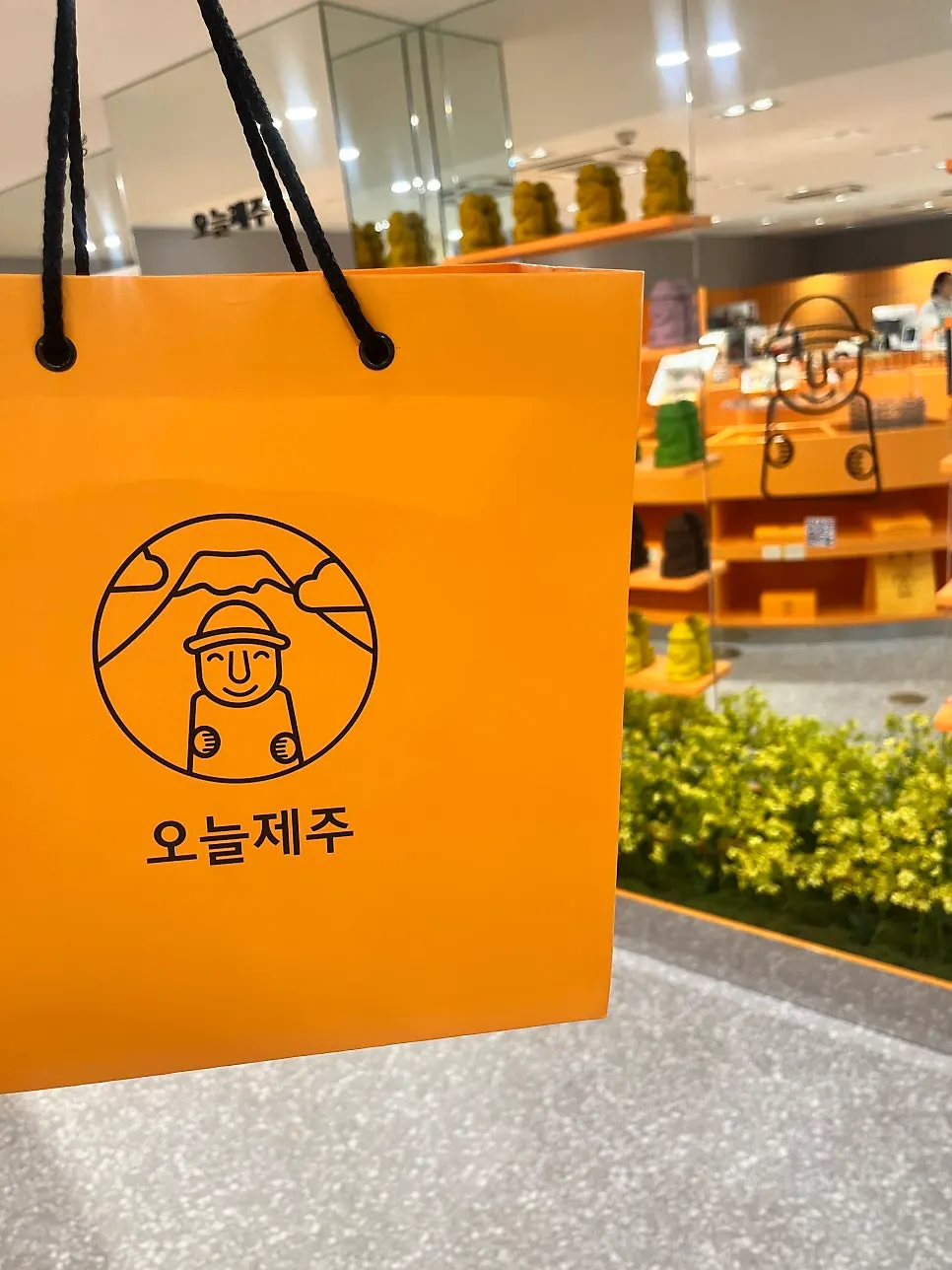 Today Jeju shopping bag