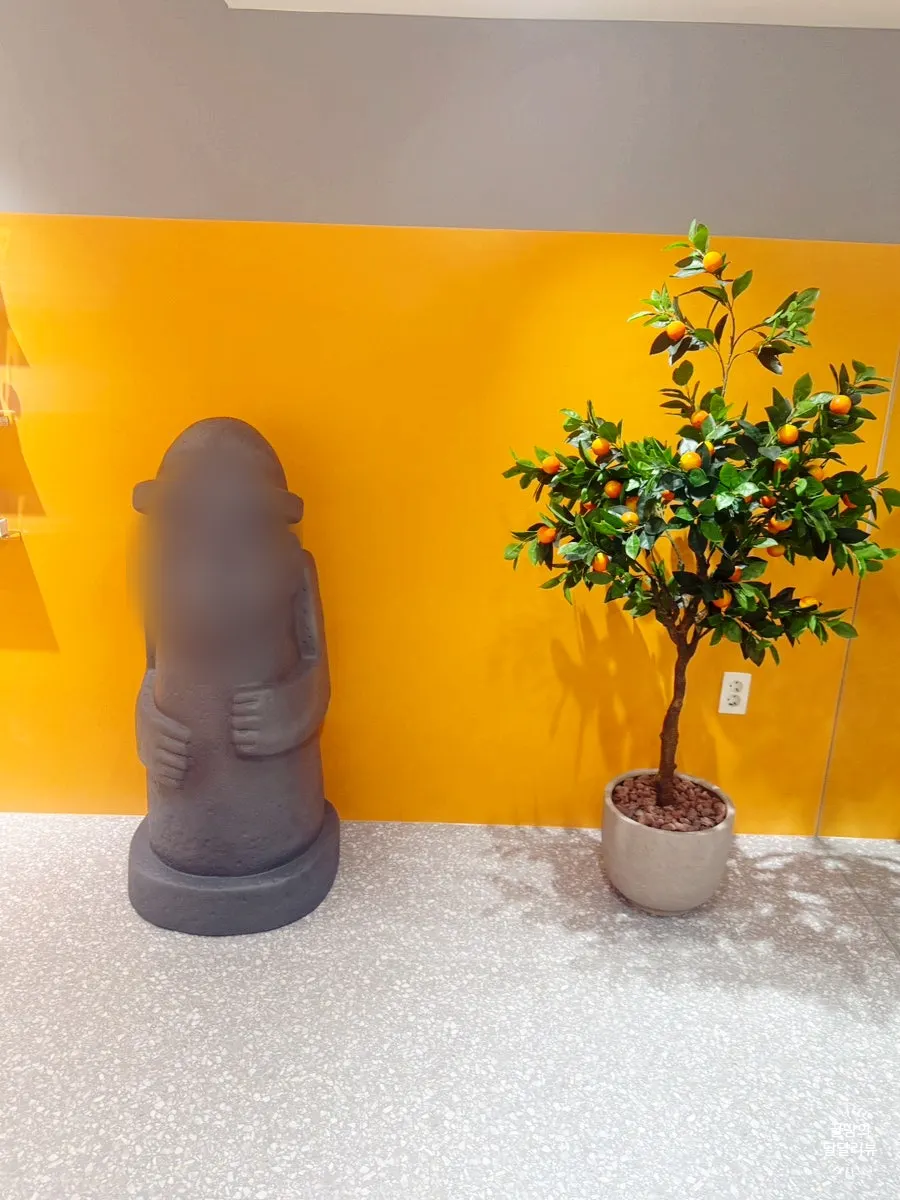 Jeju souvenir display inside the Today Jeju shop
