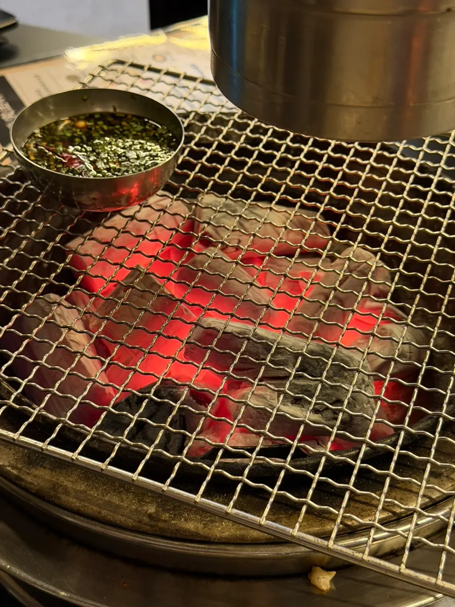 Charcoal and grill plate set up for cooking