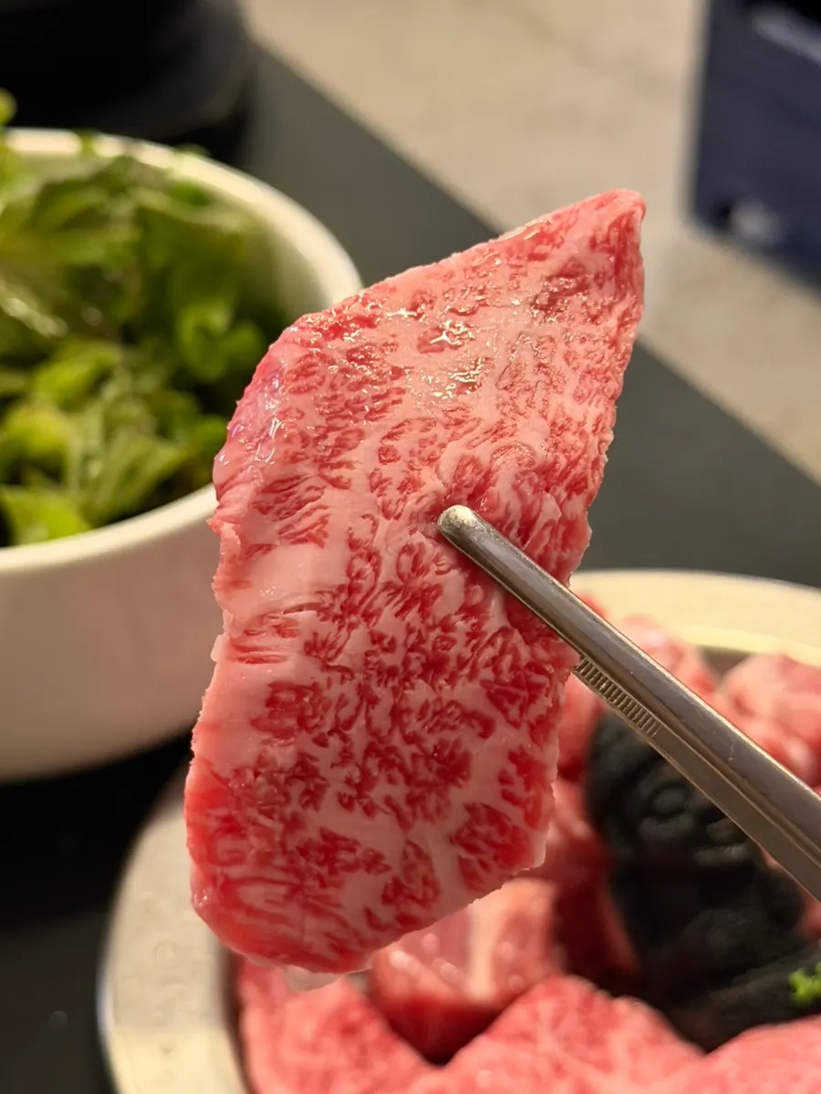Hanwoo beef placed on the charcoal grill plate