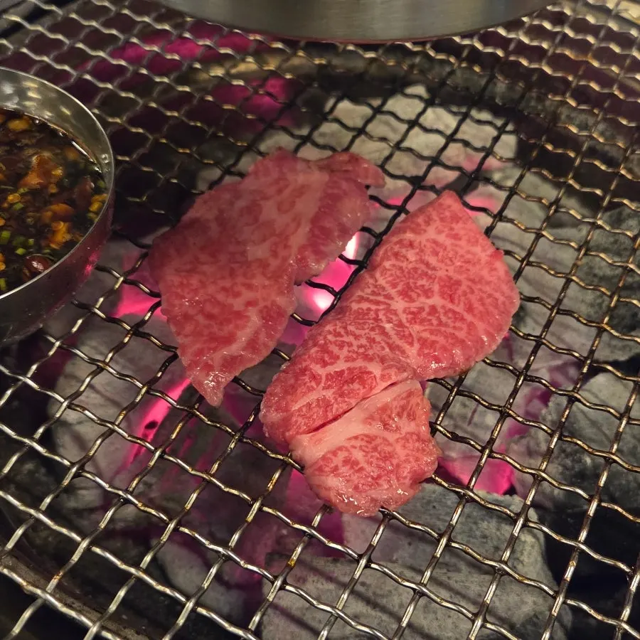 집어 올린 차돌박이 한 점
