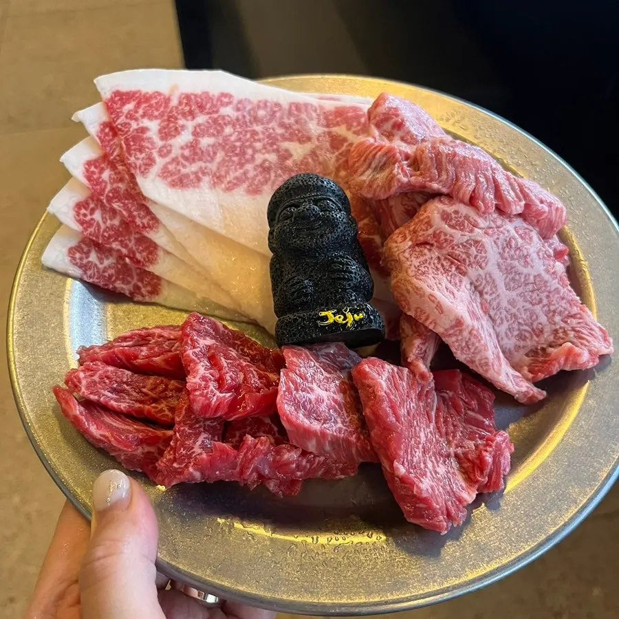 마블링이 살아 있는 한우 생고기