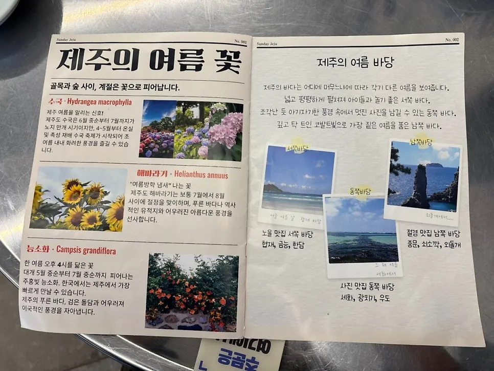 Menu page featuring reading material about Jeju attractions