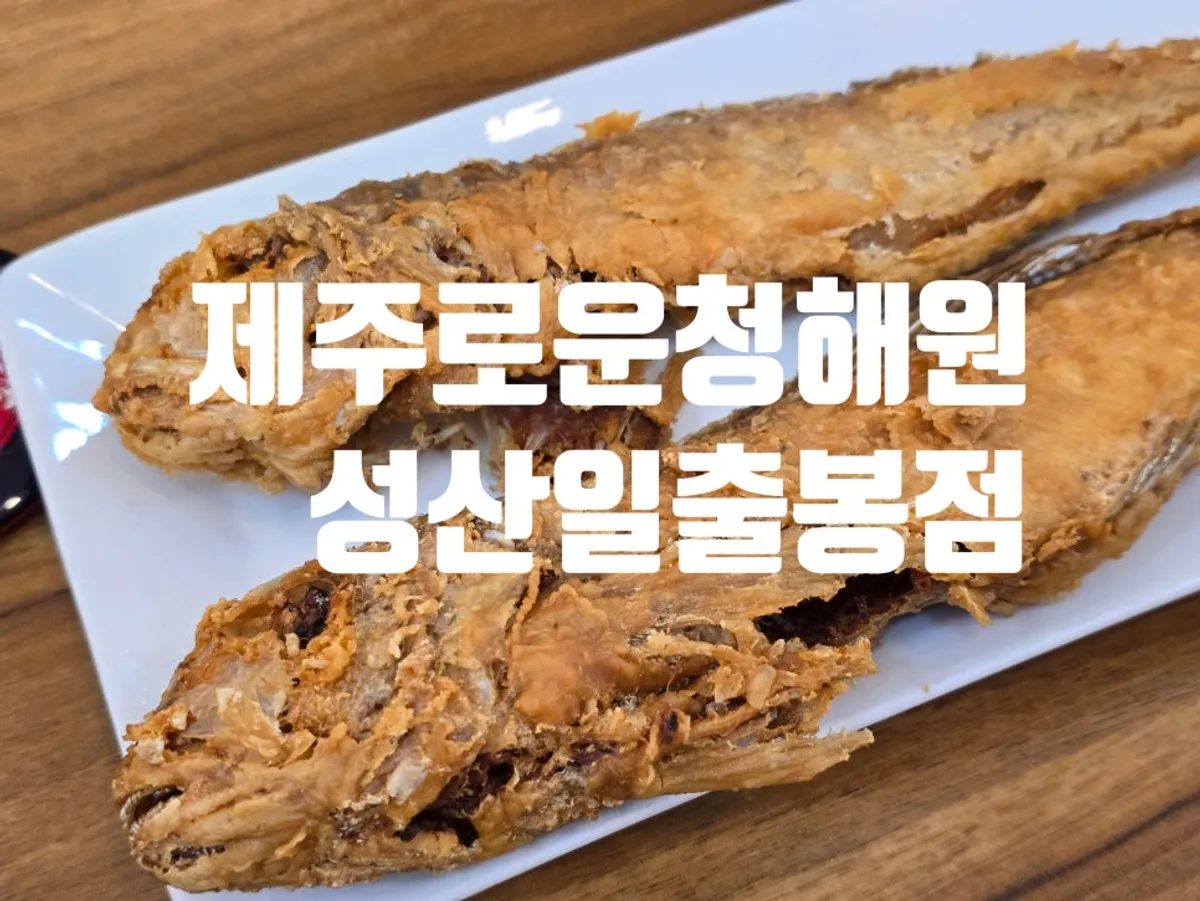 제주로운청해원 성산일출봉점 방문 모습