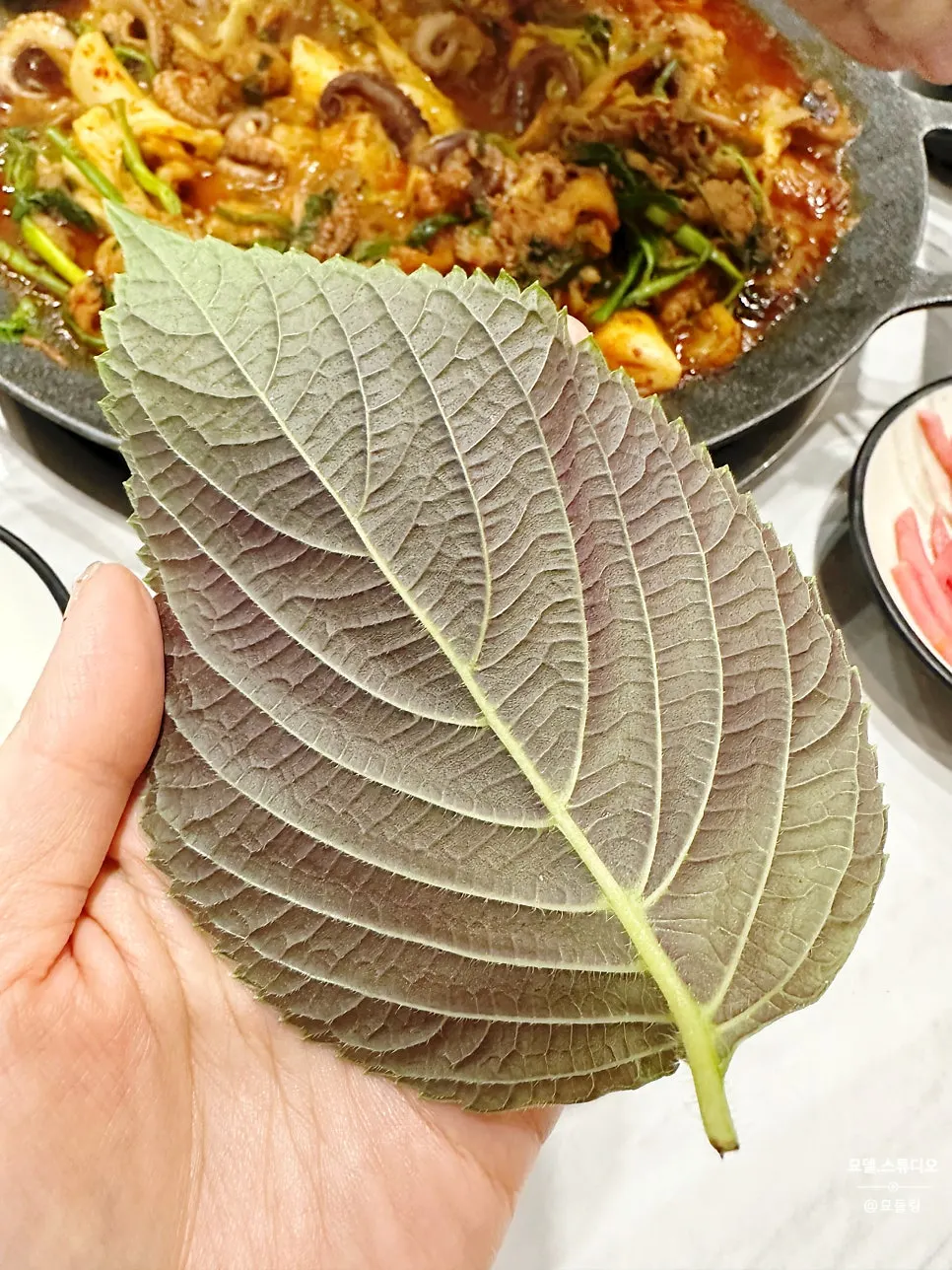 쭈꾸미 맛있게 먹는 방법 안내