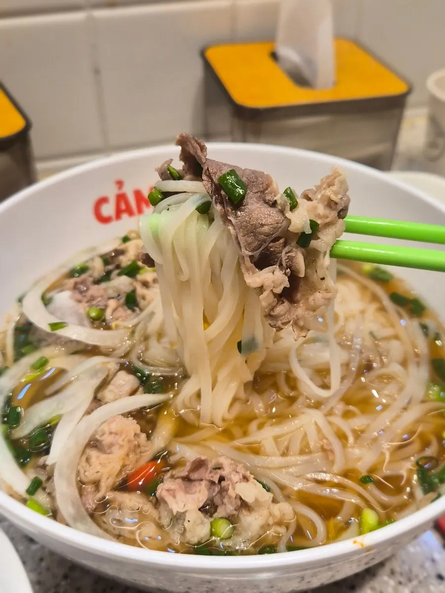 Pho topped generously with cilantro
