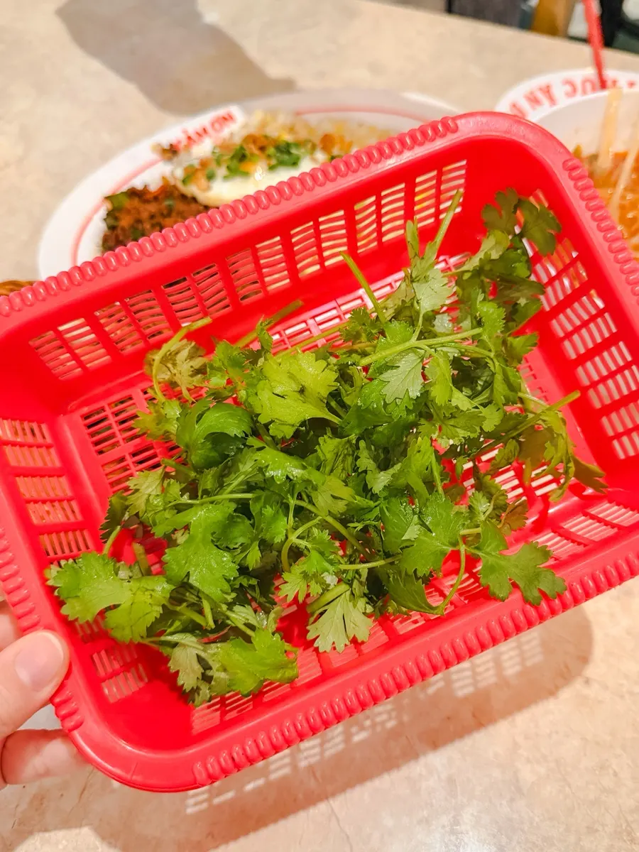 Generous serving of spicy brisket pho