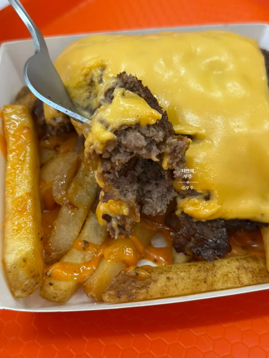Patty, bacon, and sauce piled on the fries