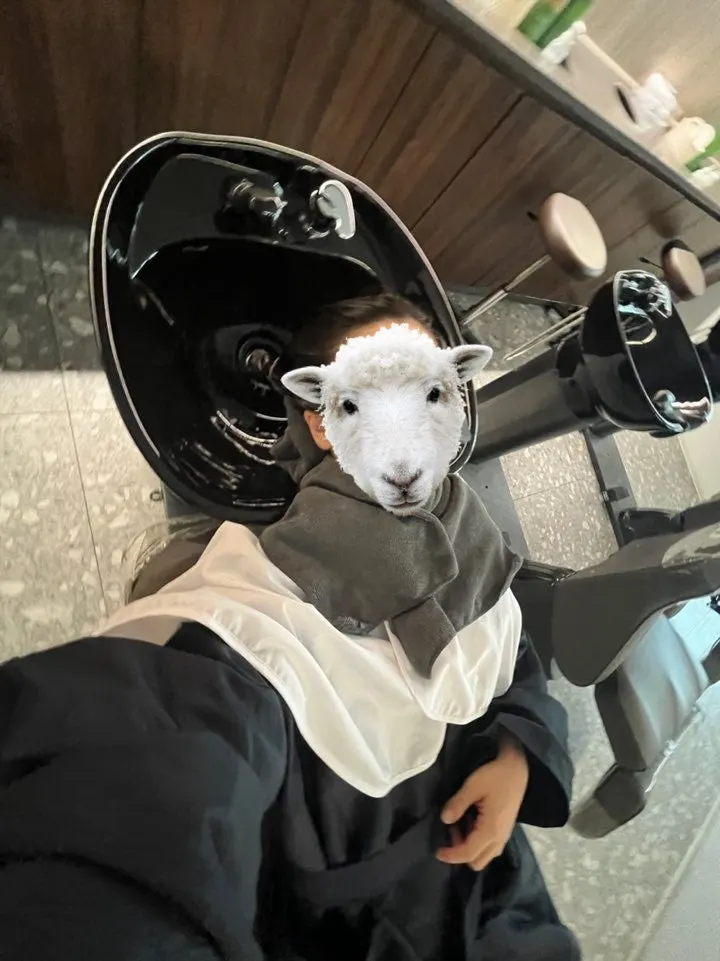사용한 스타일링 제품 설명 장면