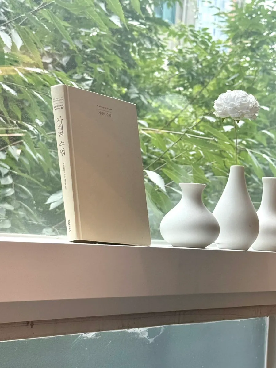 Styling area decorated with plants and objects