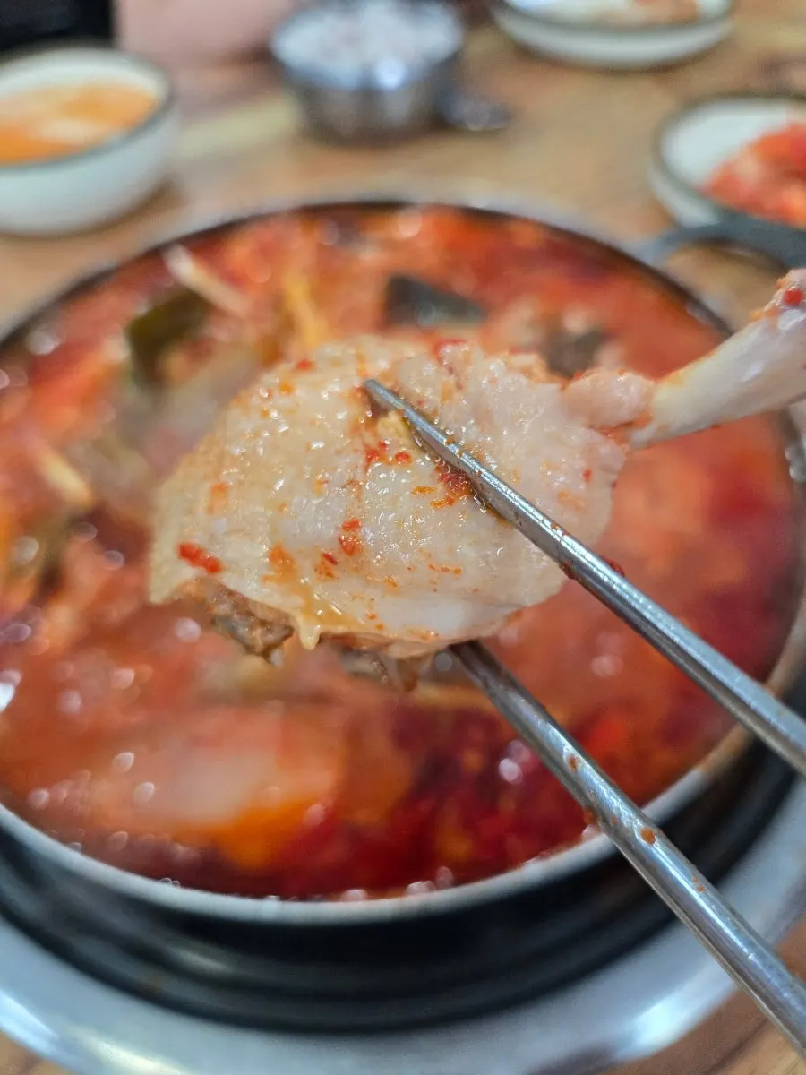 Mild level 1 dakbokkeumtang bubbling as it boils