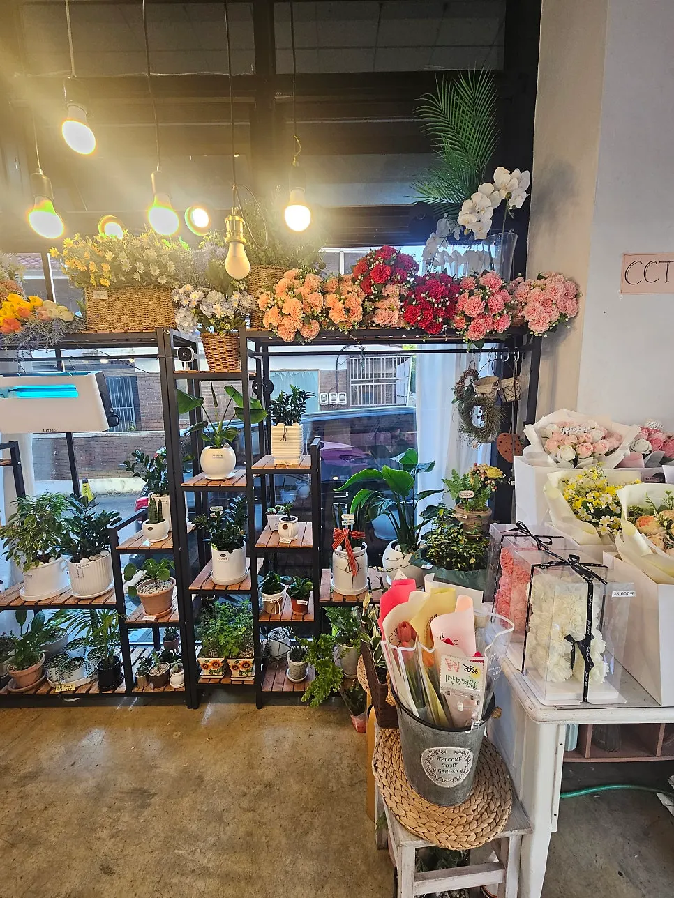 Store interior with ceiling plant decorations and bulb lighting