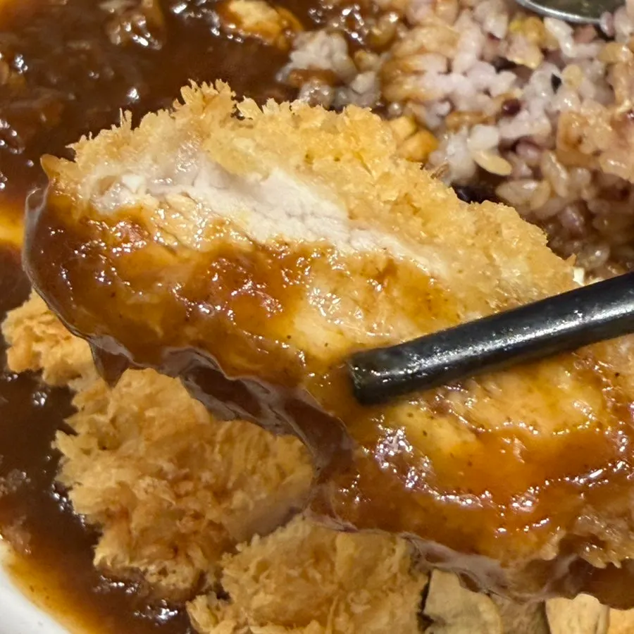 카레소스에 묻힌 돈카츠 한 조각