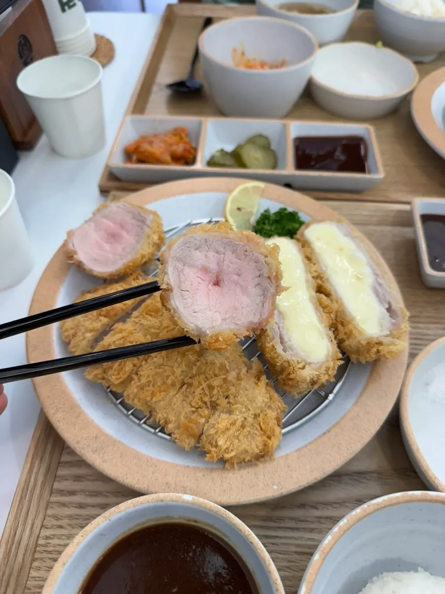 A piece of carefully fried katsu