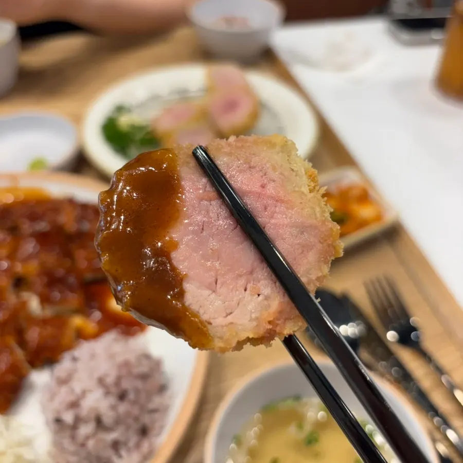 A piece of fillet katsu dipped in tonkatsu sauce