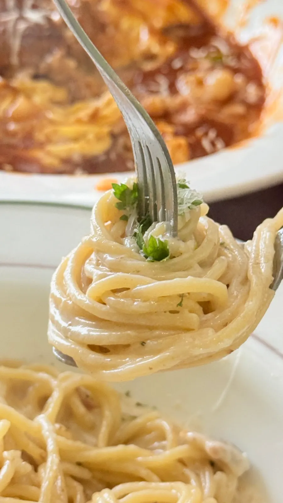 Cream pasta noodles twirled onto a fork