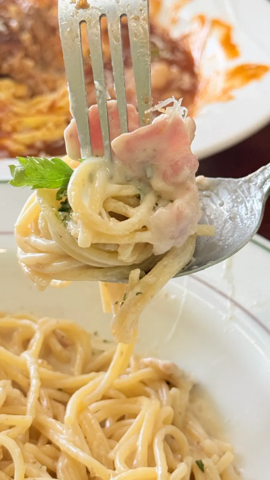 A bite of pasta coated in rich cream sauce