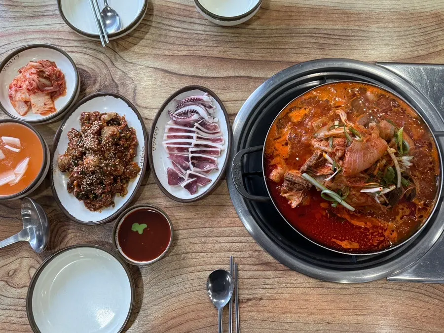 Neatly prepped boiled squid with chojang sauce