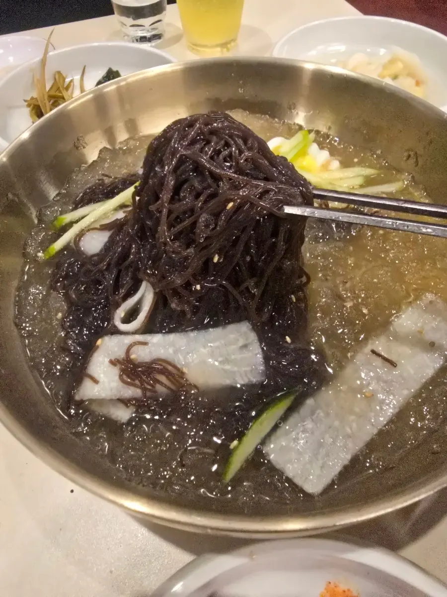 A bowl of mul naengmyeon in cool broth