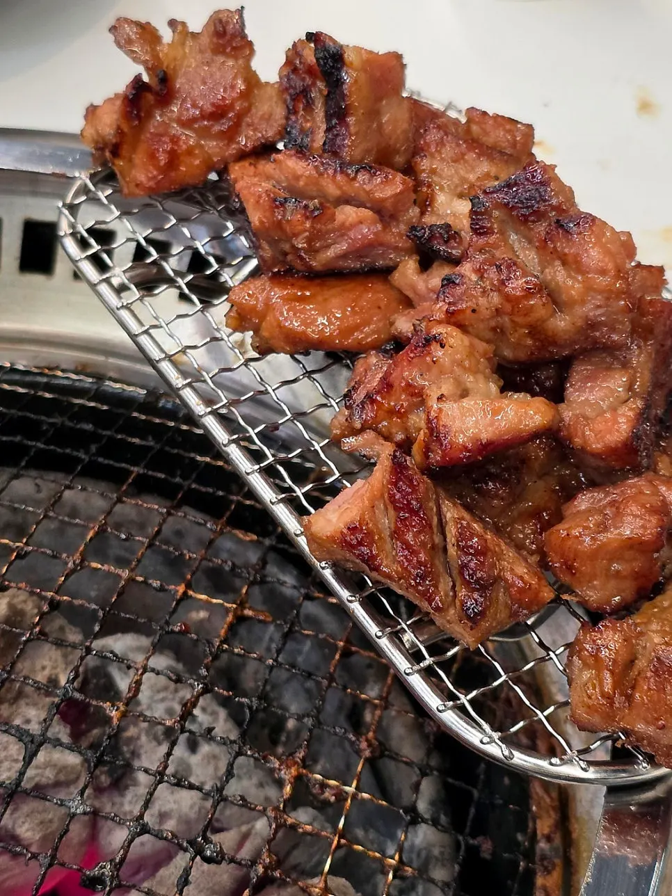 집게로 집어 든 양념 돼지갈비 한 점