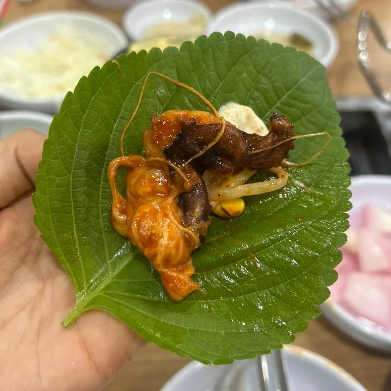 鐵板上加入豆芽菜的炒章魚