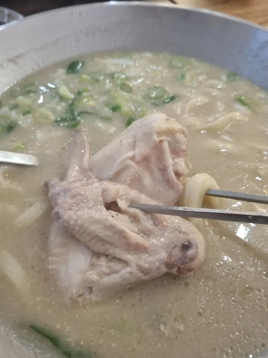 들깨 국물의 닭칼국수 한 그릇
