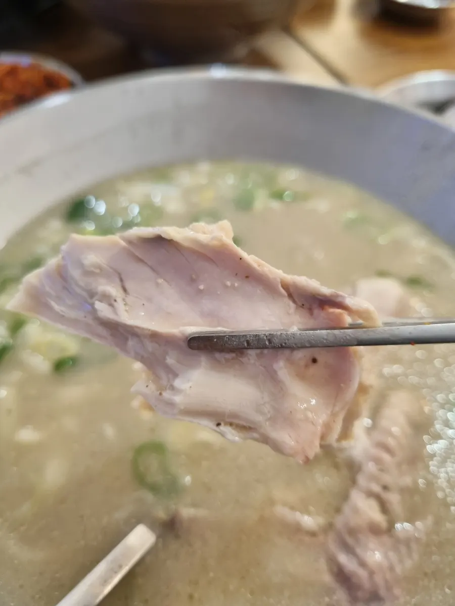 자가제면 면발을 들어 올린 닭칼국수