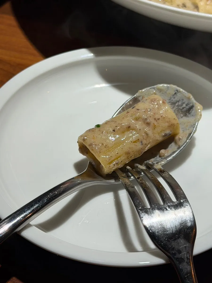 알맞게 삶긴 리가토니 파스타 클로즈업