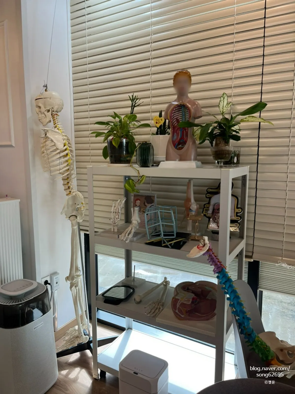 Interior of Rebody & Beauty, run on a 1:1 appointment basis
