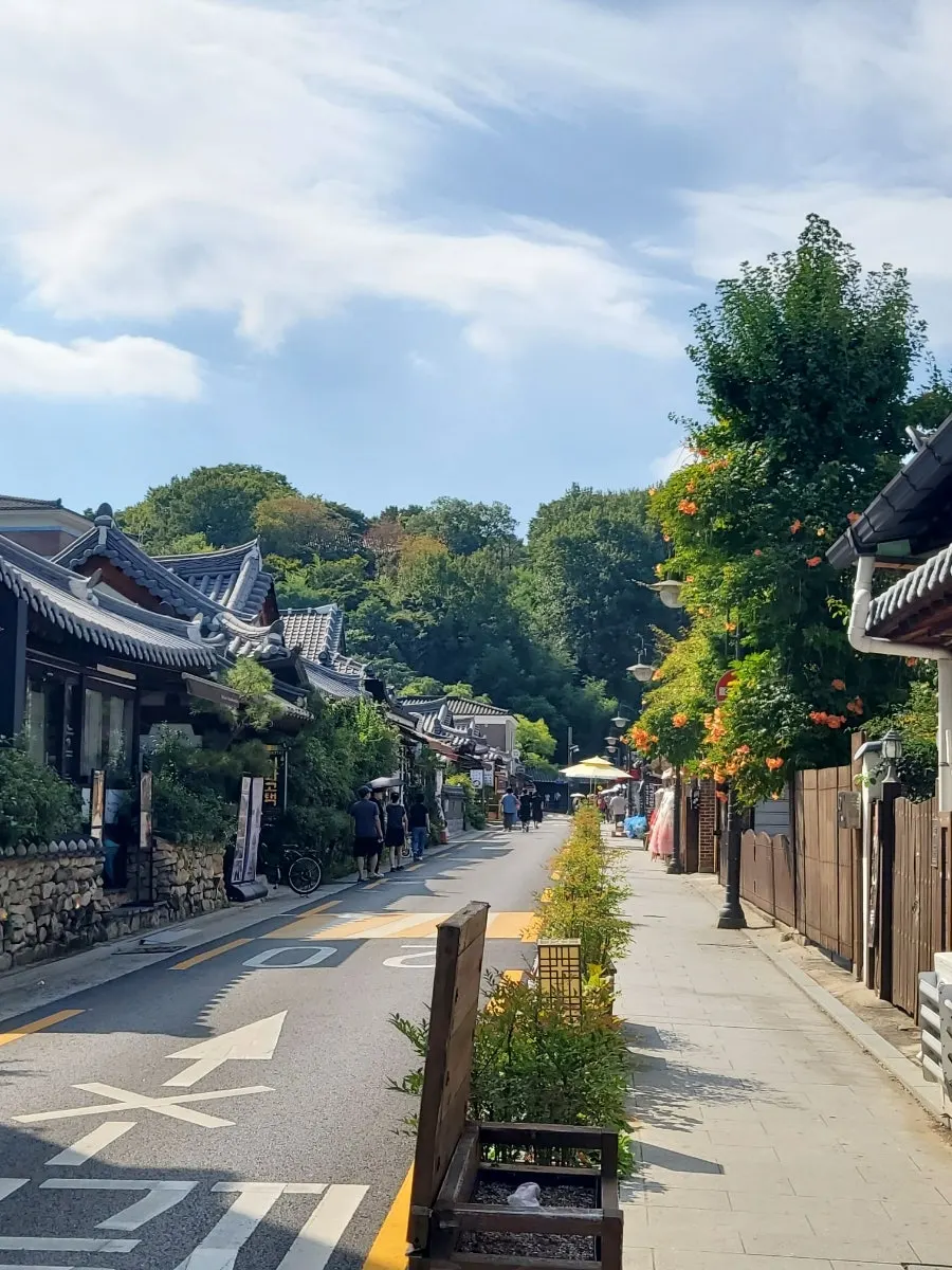 능소화와 백일홍이 핀 한옥마을 골목