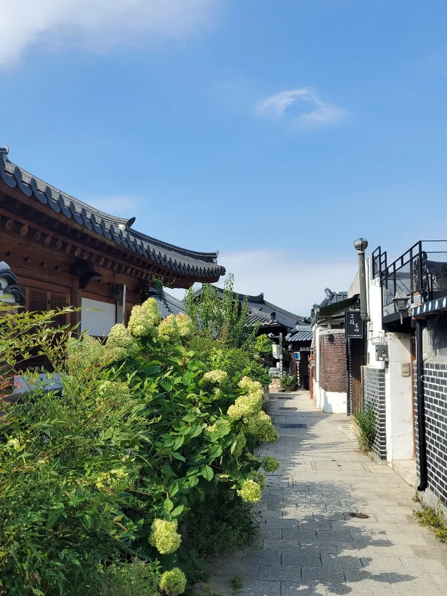 맑은 날의 전주 한옥마을 한옥 지붕