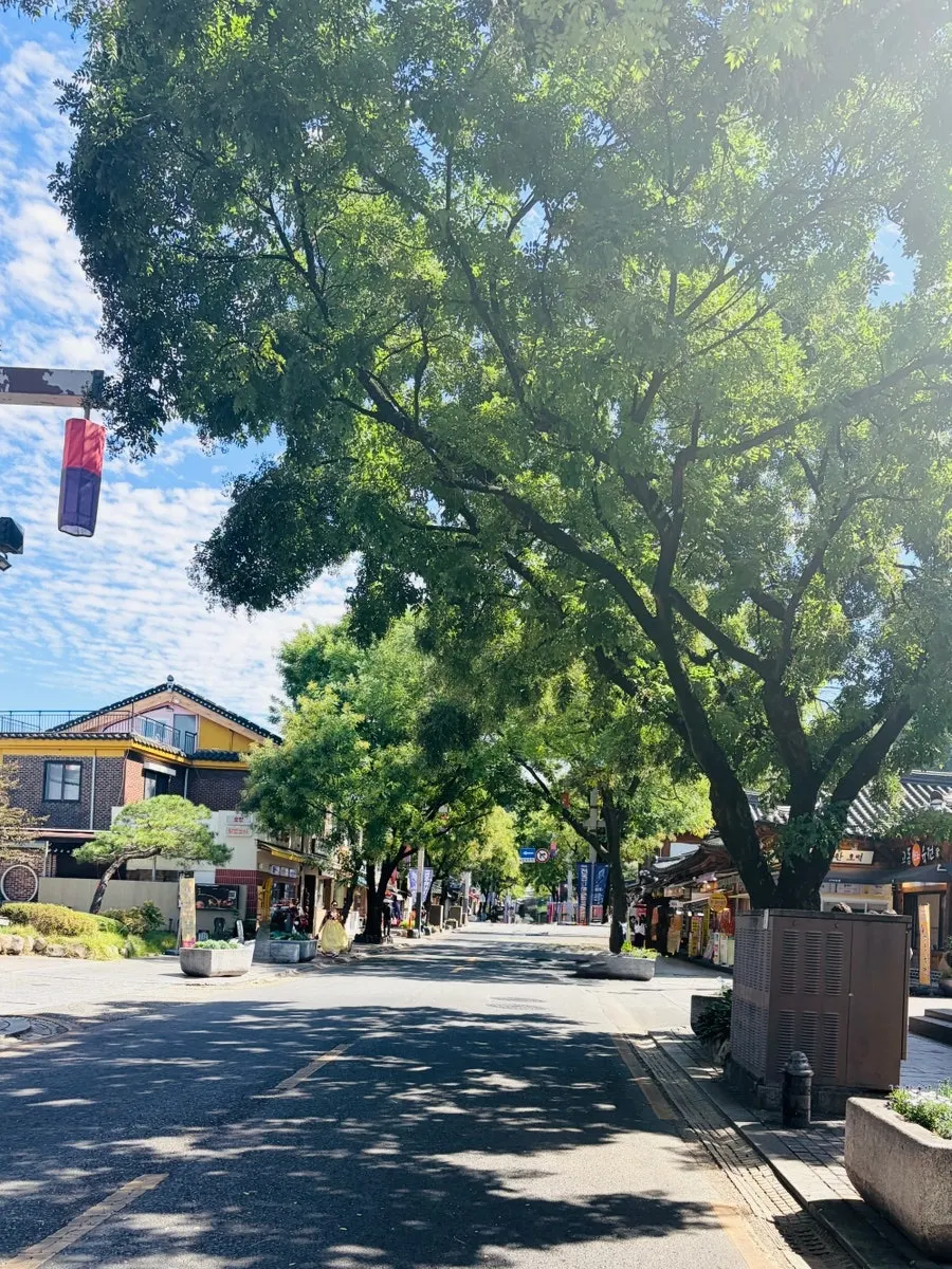 Dakgangjeong packed as a snack in Jeonju Hanok Village