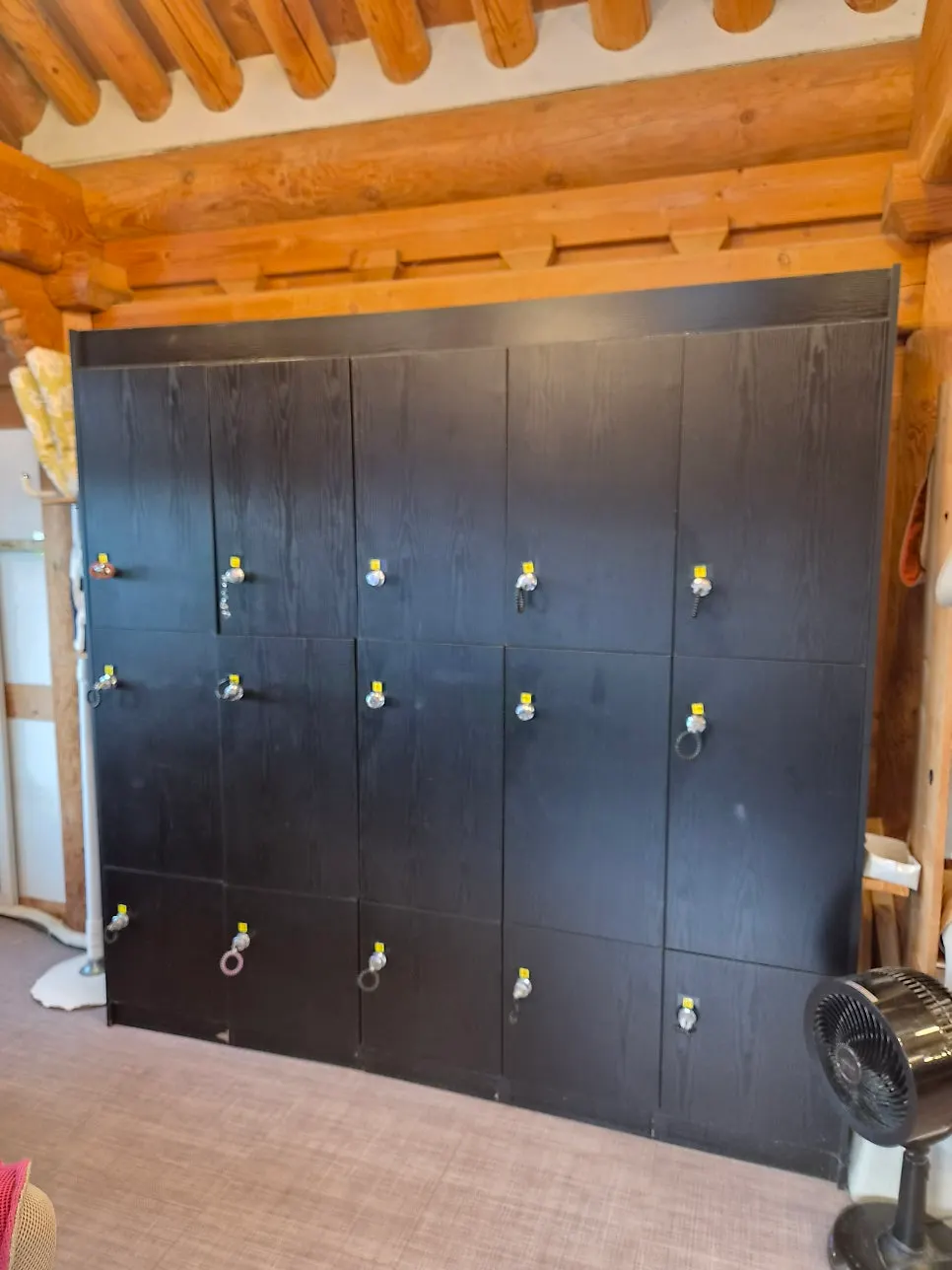 Store lockers for stowing travel bags