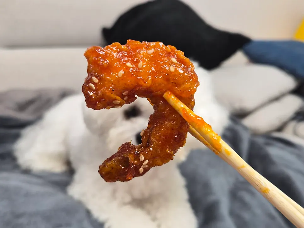 个头饱满的虾仁甜辣鸡特写