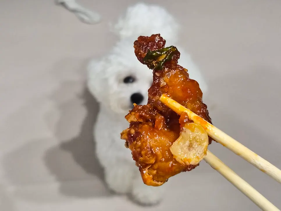 油亮的甜辣鸡与裹粉断面
