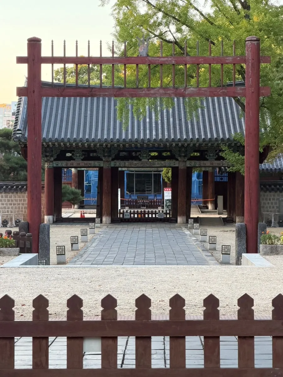 전주 경기전 한옥과 오래된 나무