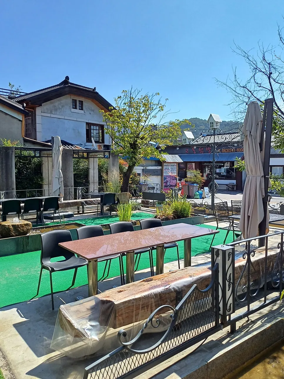 入口前の植物と水路がある前庭