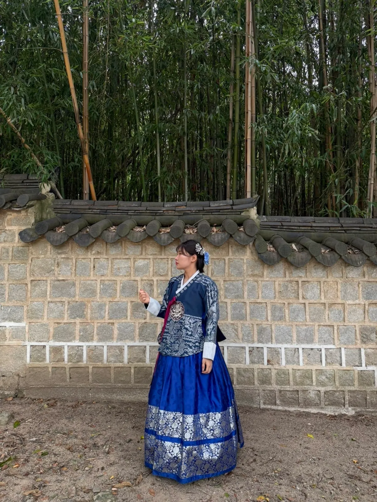 Visitor wearing royal-style hanbok
