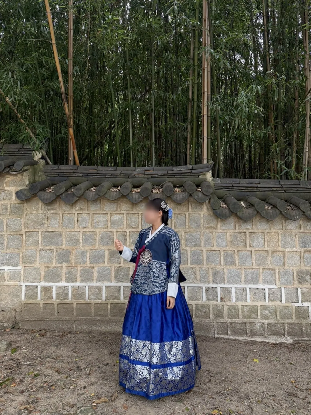Visitor wearing royal-style hanbok