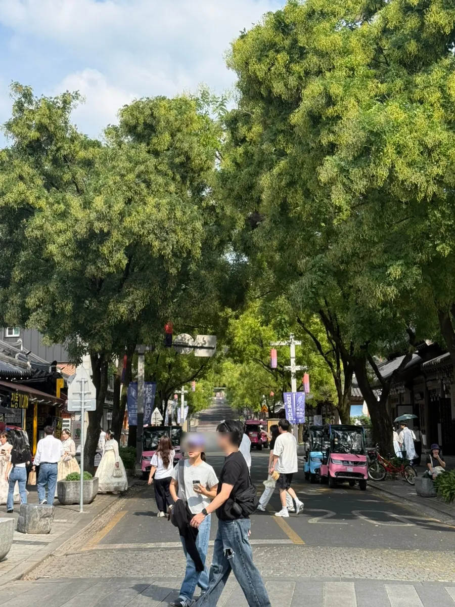 전주 한옥마을 한옥 거리 풍경