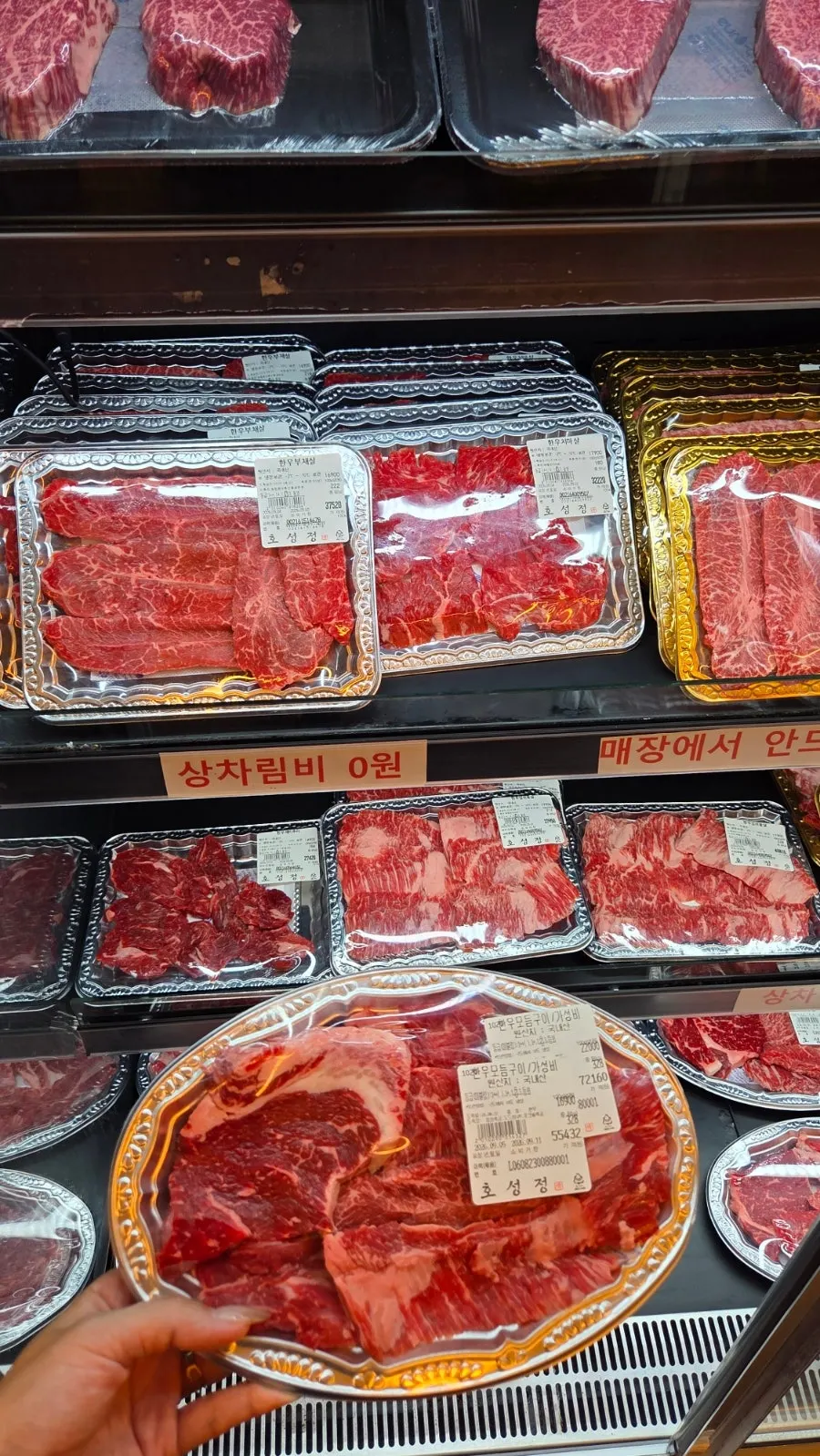 전주 호성정 방문 요약 사진