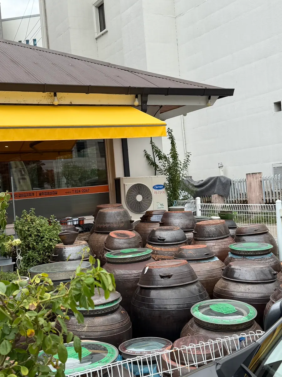 Earthenware jars and potted plants at the Jeonju House entrance