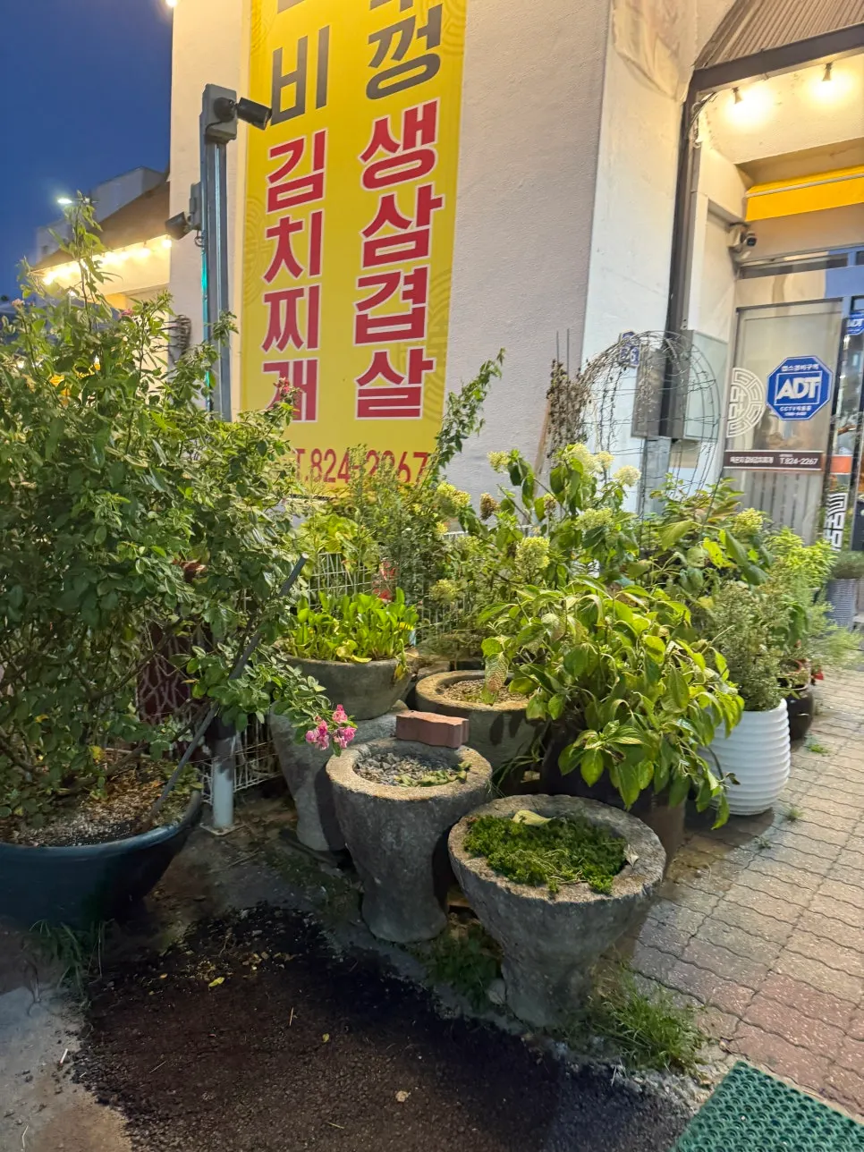 솥뚜껑에 구워지는 삼겹살과 묵은지