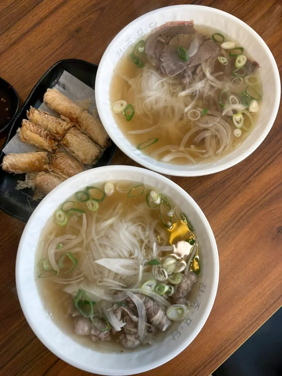 Extra order of fresh spring rolls and fried spring rolls