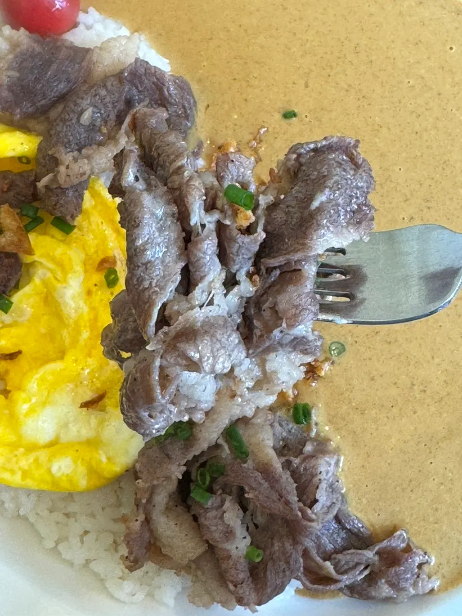 Close-up of brisket topping on the curry