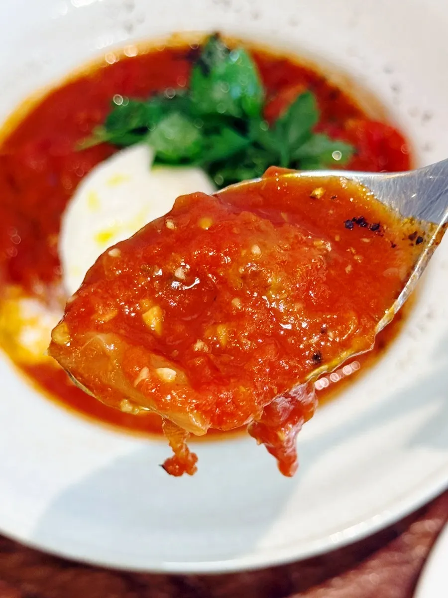 A plate of burrata tomato stew